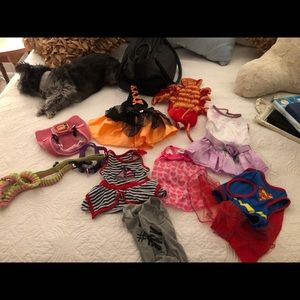 Lot of Doggie Clothes, Nylon/Mesh Carrier, Harness & Costumes.